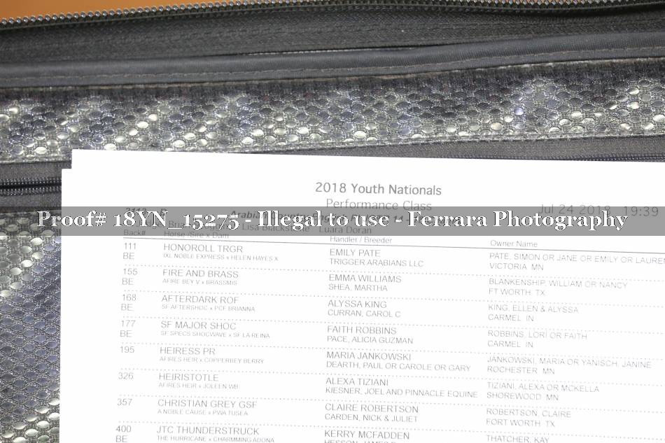 Proof 18YN_15275