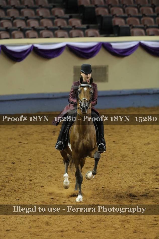Proof 18YN_15280