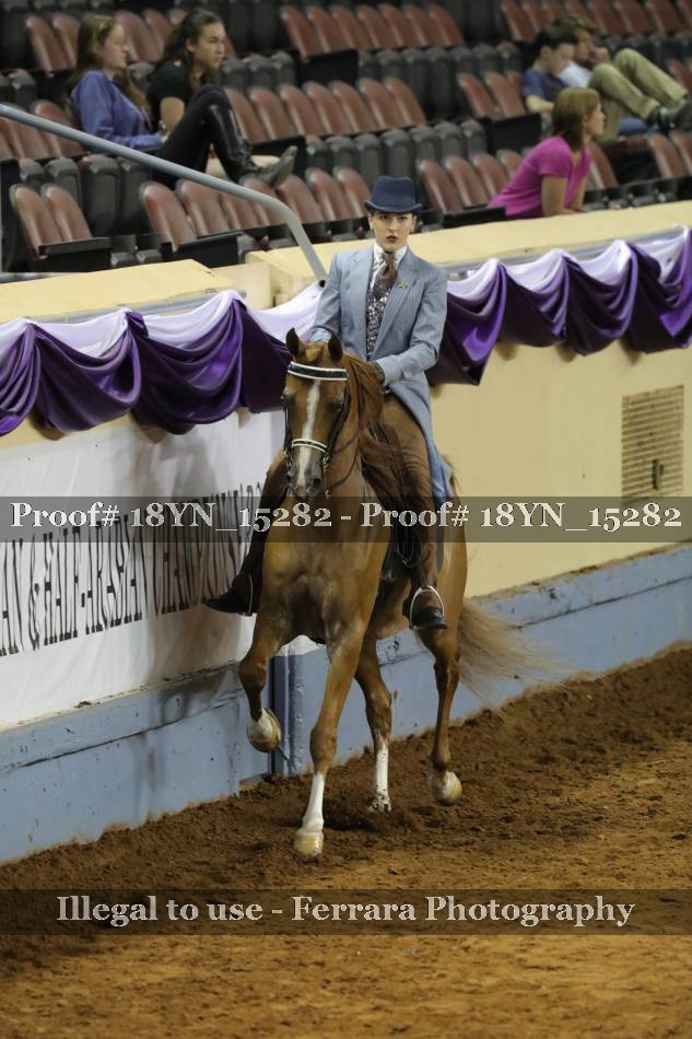 Proof 18YN_15282