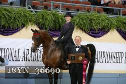 18YN_36690 proof