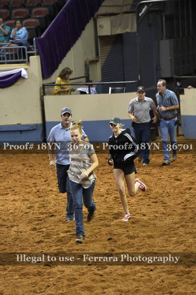Proof 18YN_36701