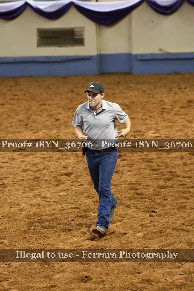 Proof 18YN_36706