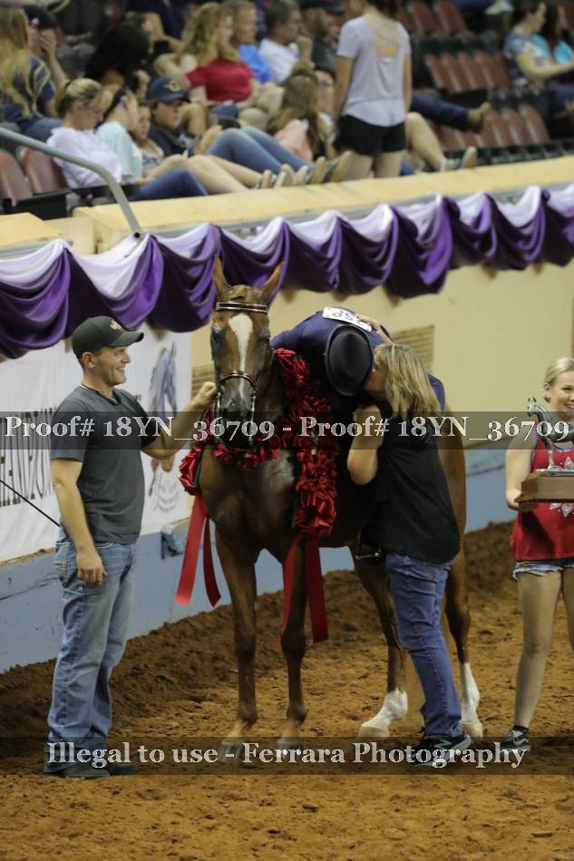 Proof 18YN_36709