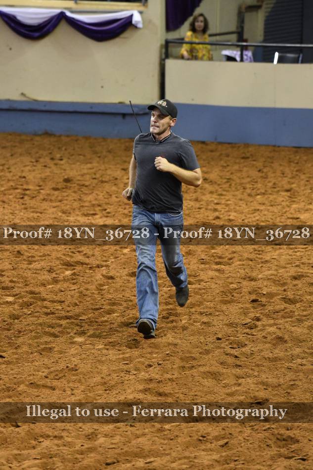 Proof 18YN_36728