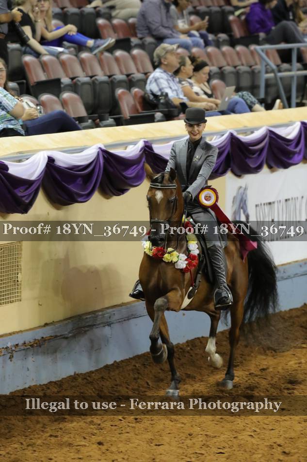 Proof 18YN_36749