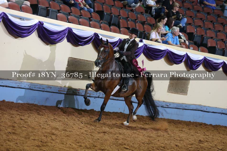 Proof 18YN_36785