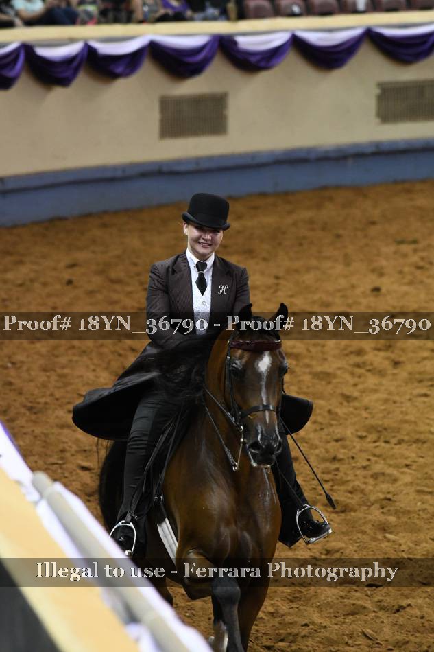 Proof 18YN_36790