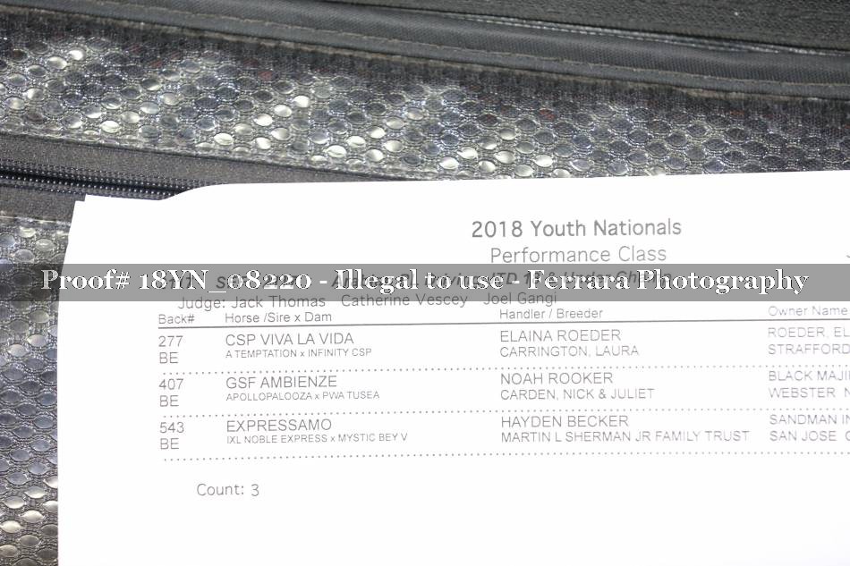 Proof 18YN_08220