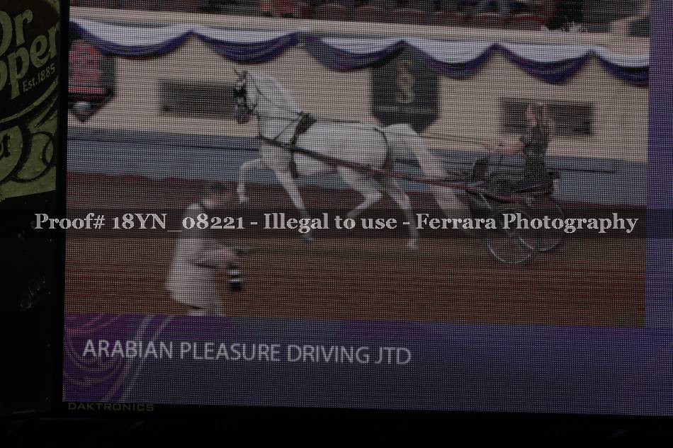 Proof 18YN_08221