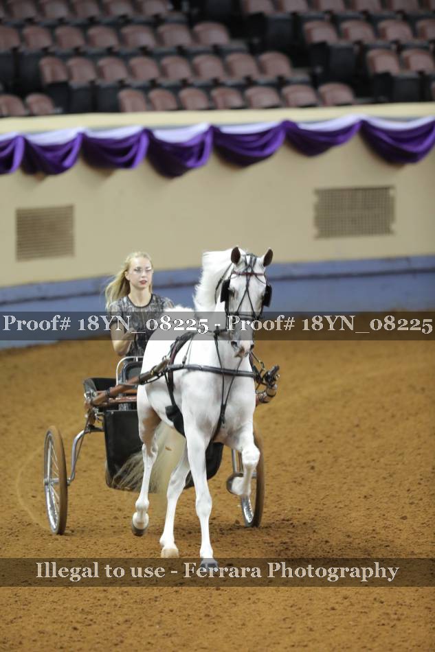 Proof 18YN_08225