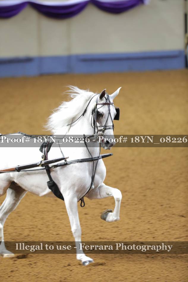 Proof 18YN_08226