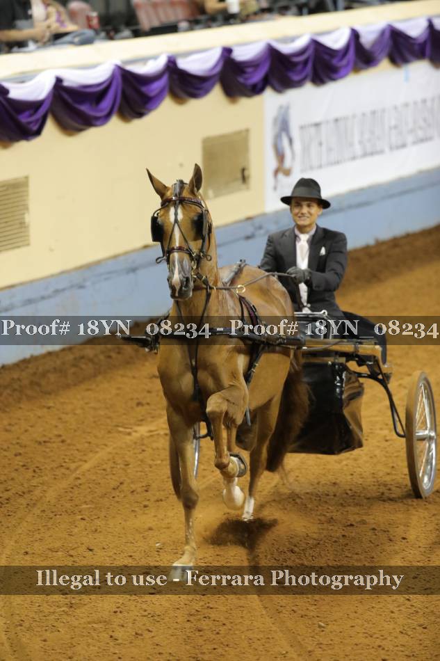 Proof 18YN_08234