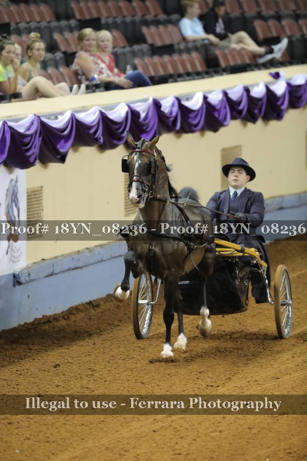 Proof 18YN_08236