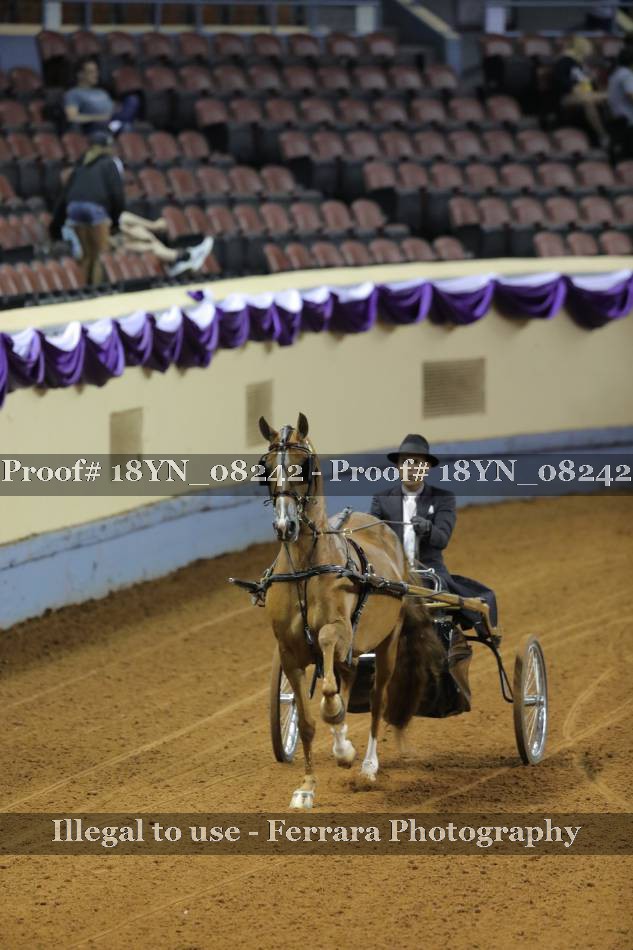 Proof 18YN_08242