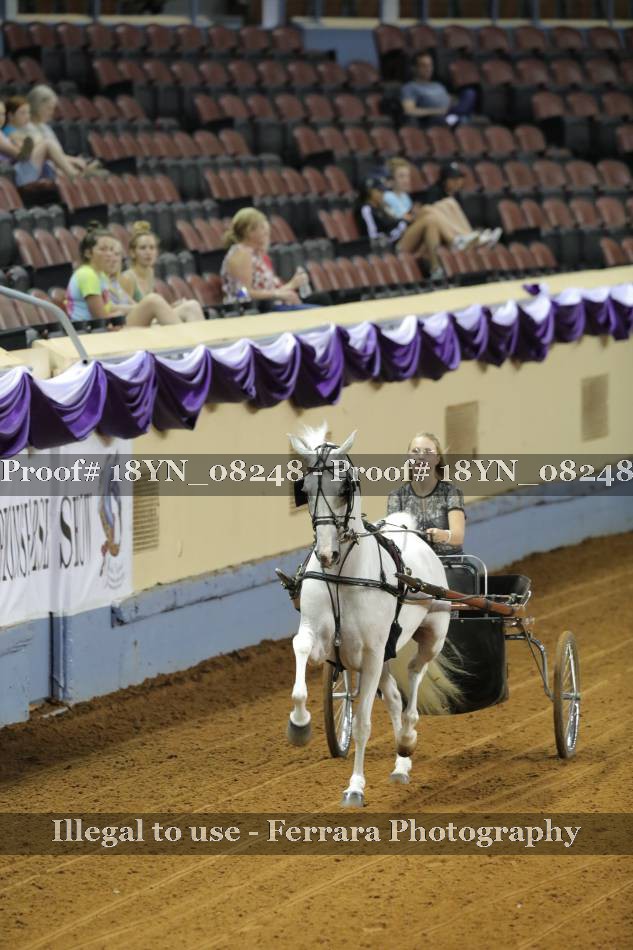 Proof 18YN_08248