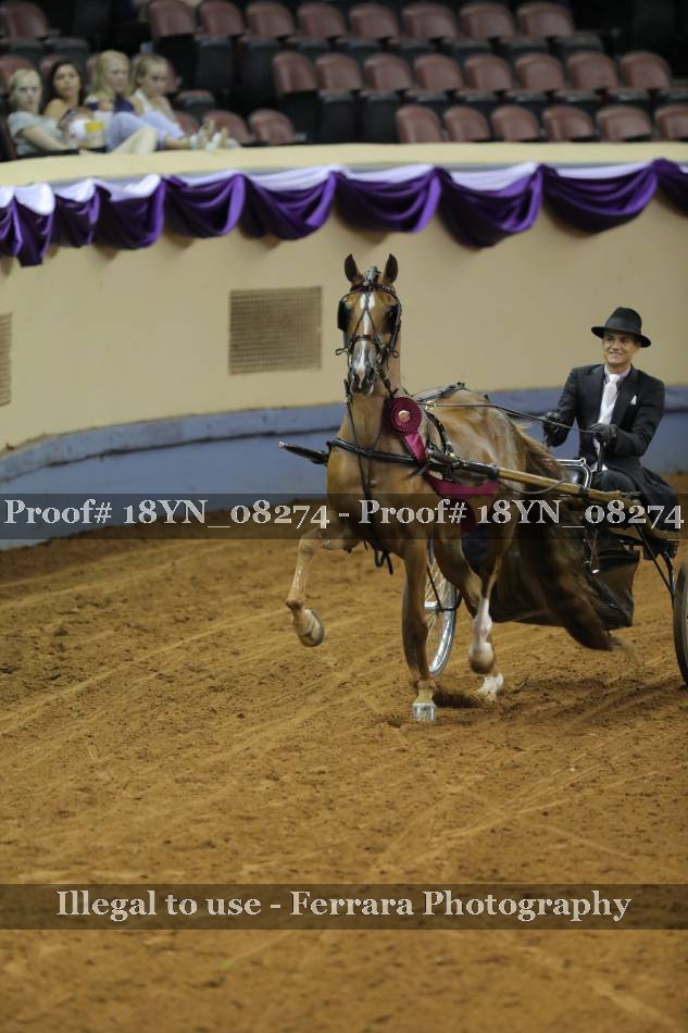 Proof 18YN_08274