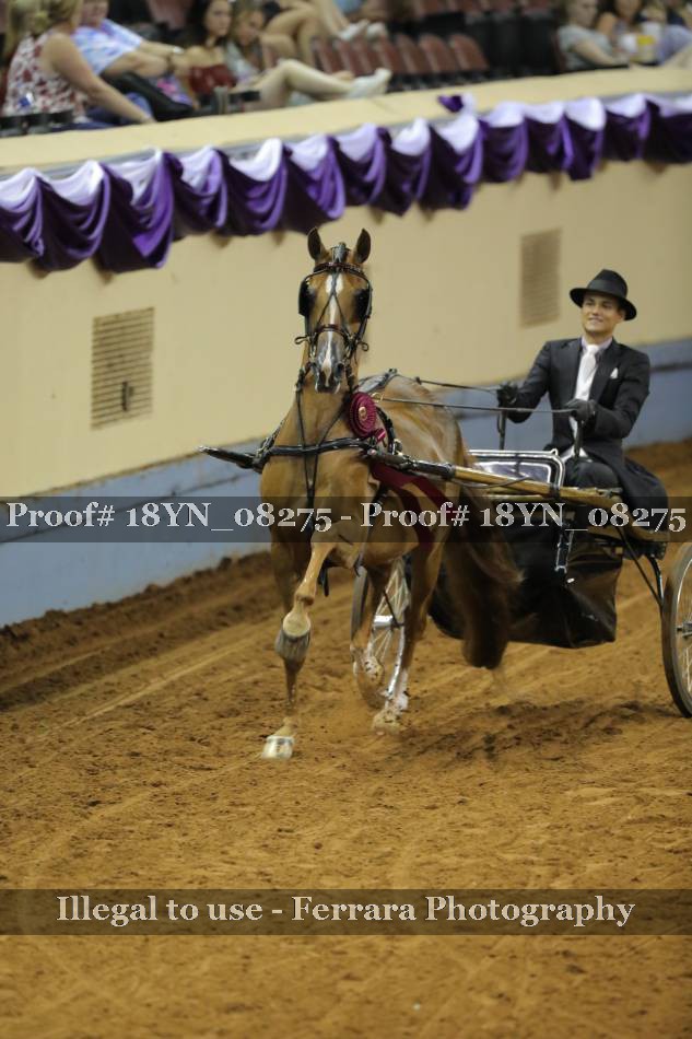 Proof 18YN_08275