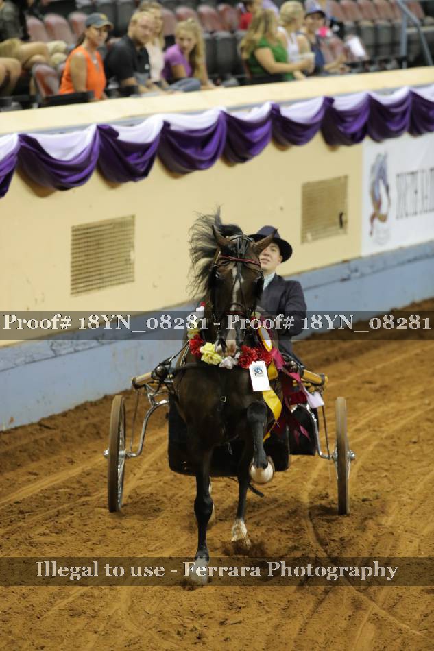 Proof 18YN_08281