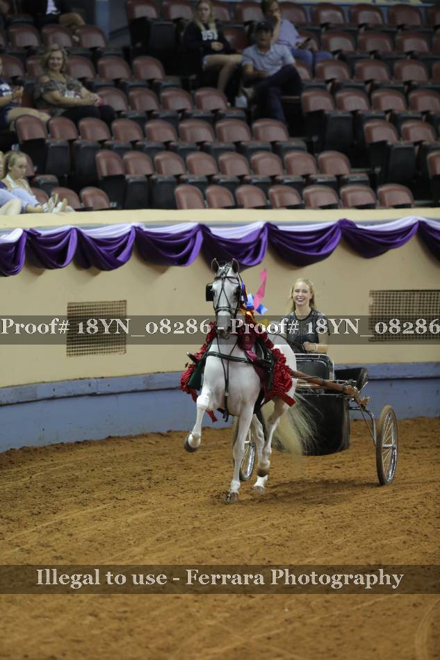 Proof 18YN_08286