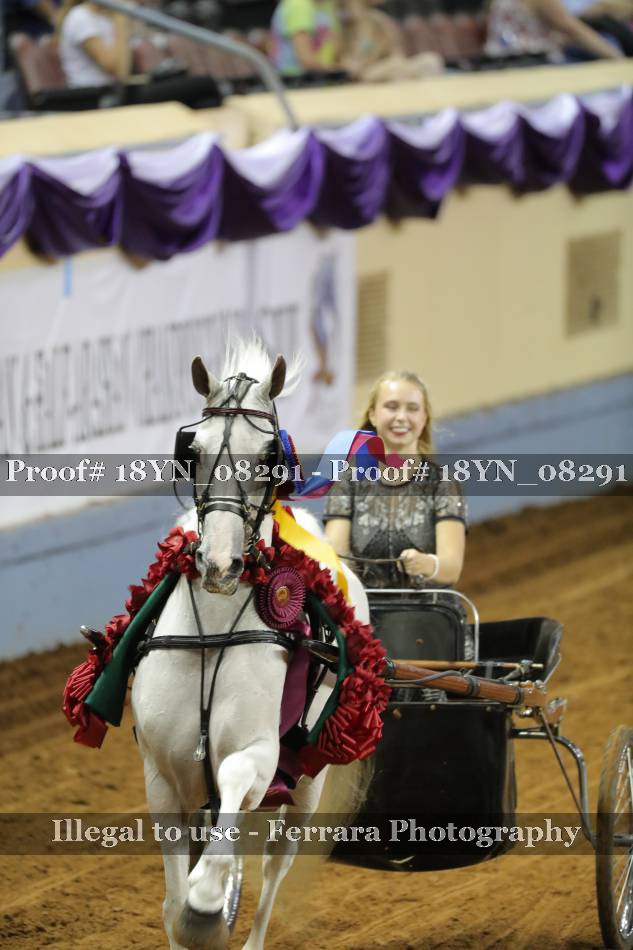 Proof 18YN_08291