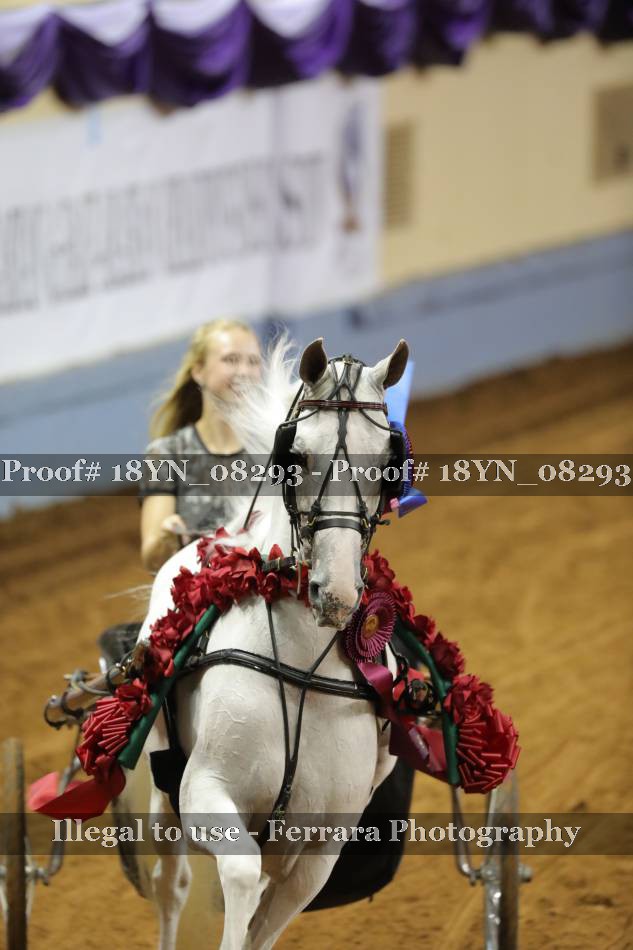 Proof 18YN_08293