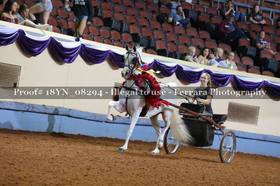 Proof 18YN_08294