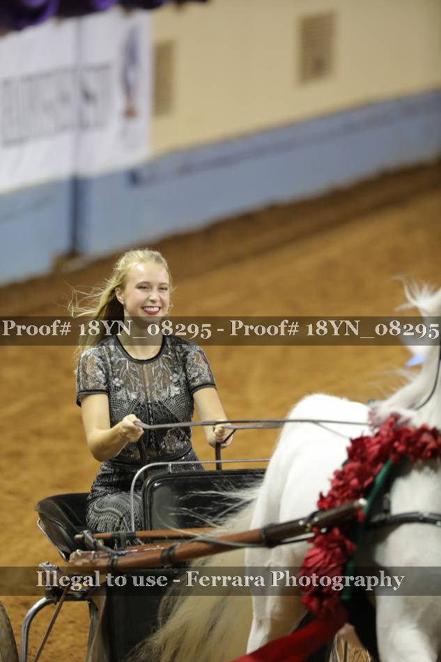 Proof 18YN_08295