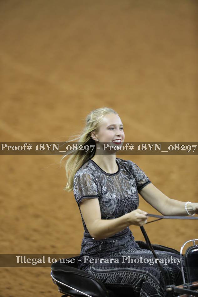 Proof 18YN_08297