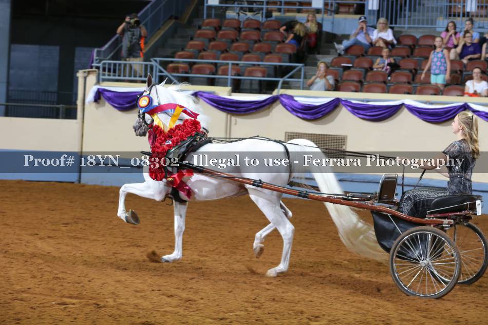 Proof 18YN_08302