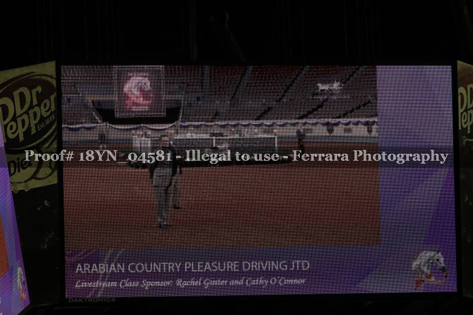 Proof 18YN_04581
