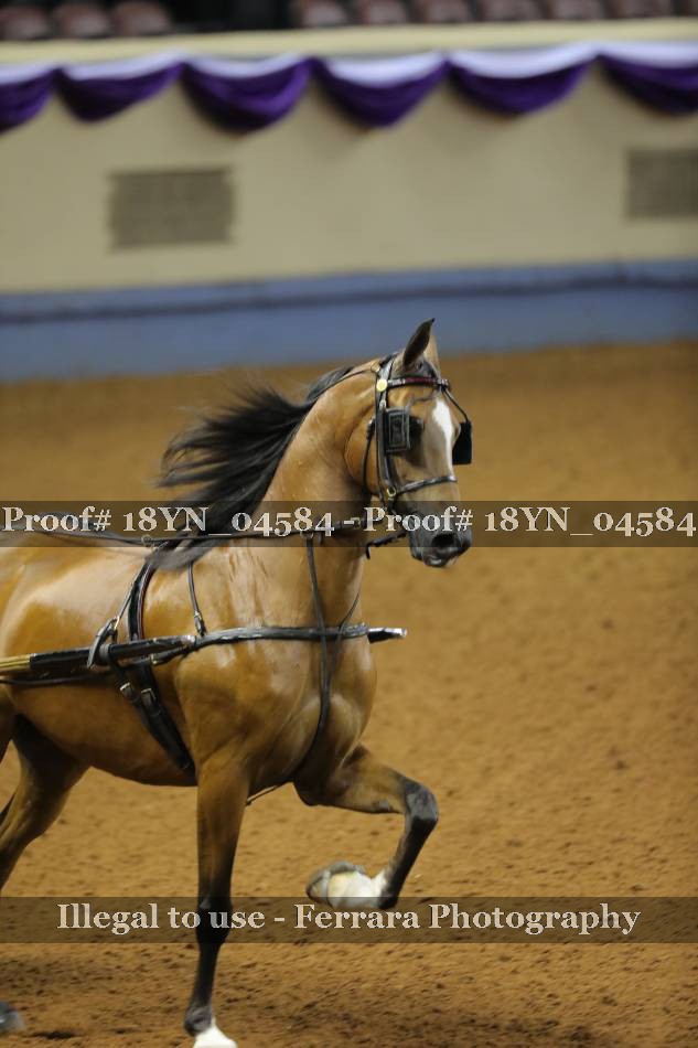 Proof 18YN_04584