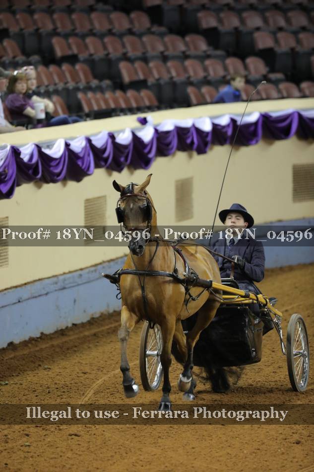 Proof 18YN_04596