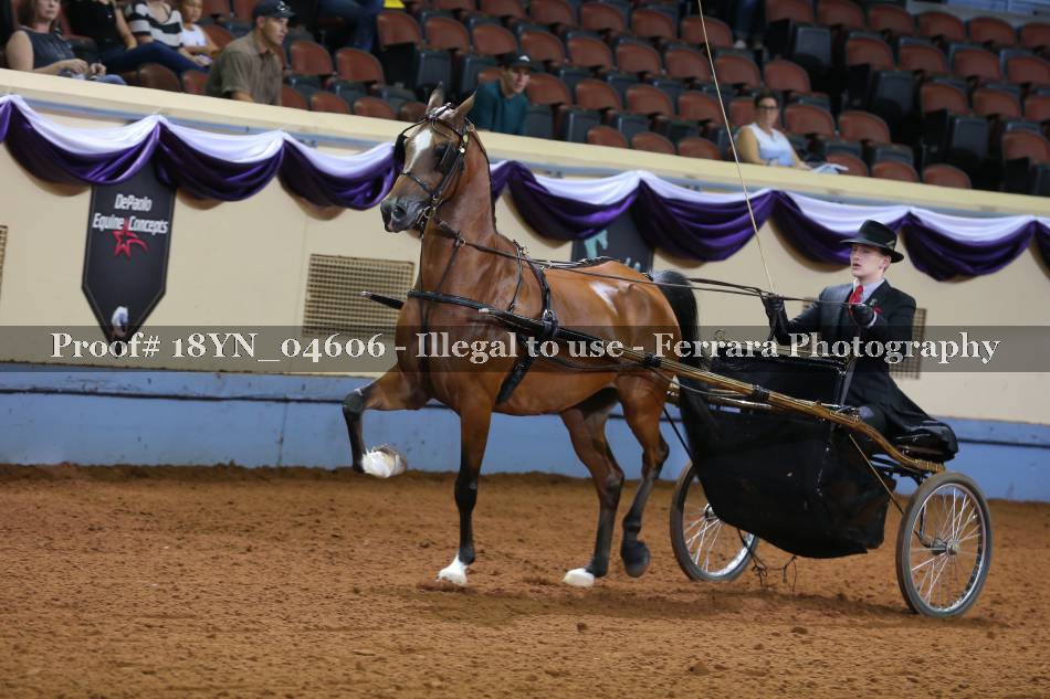 Proof 18YN_04606