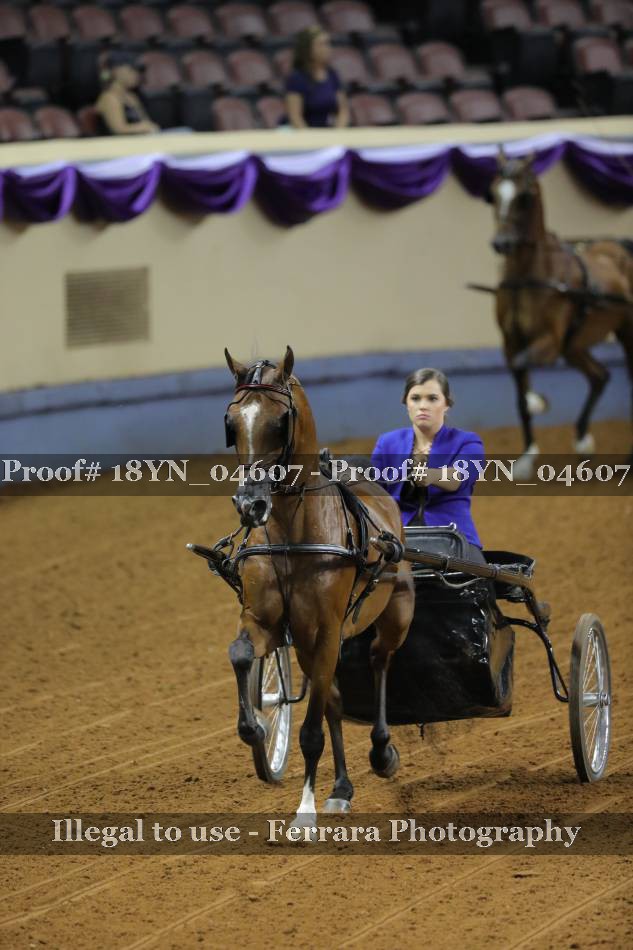 Proof 18YN_04607