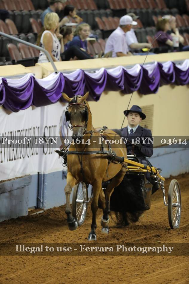 Proof 18YN_04614