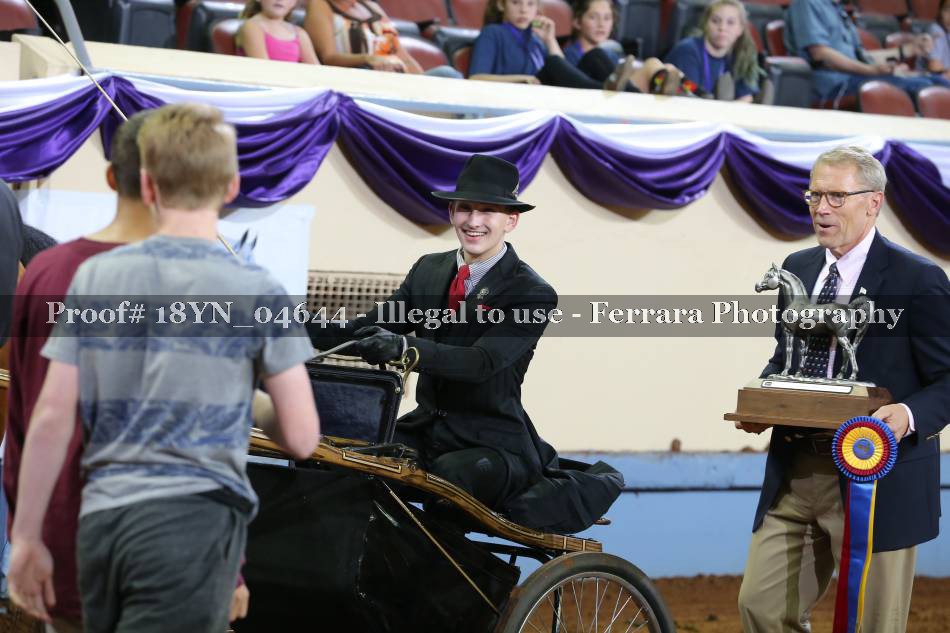 Proof 18YN_04644