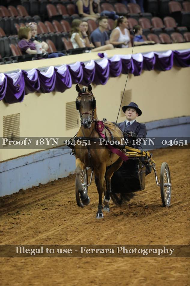 Proof 18YN_04651