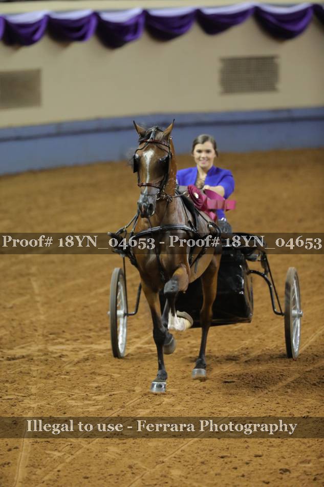 Proof 18YN_04653