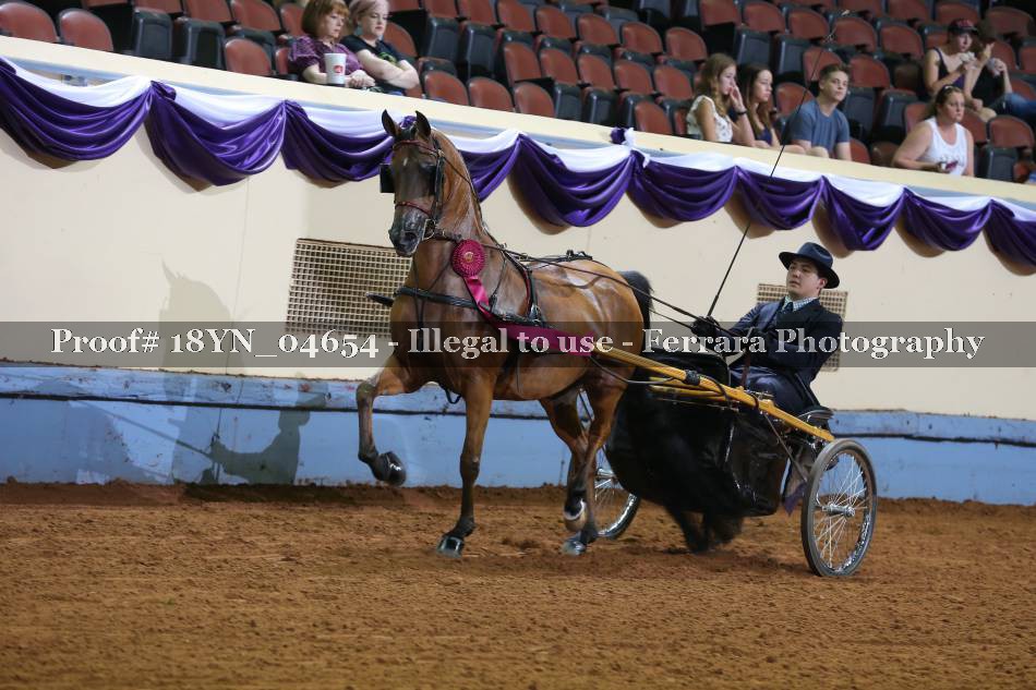 Proof 18YN_04654