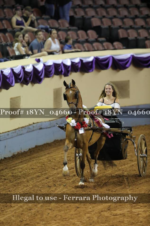 Proof 18YN_04660