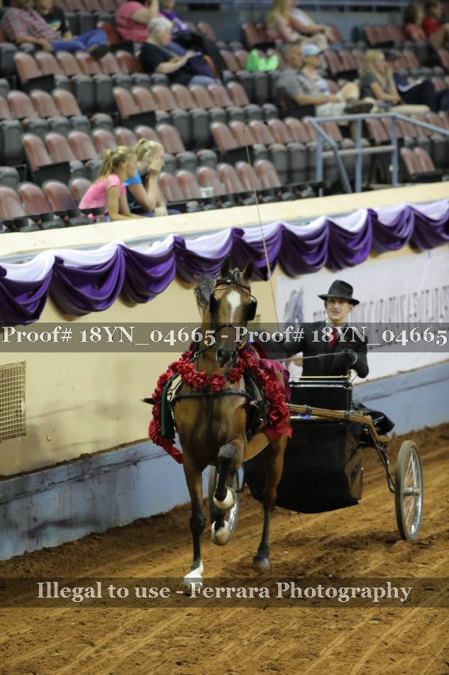 Proof 18YN_04665