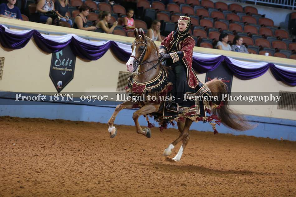 Proof 18YN_09707