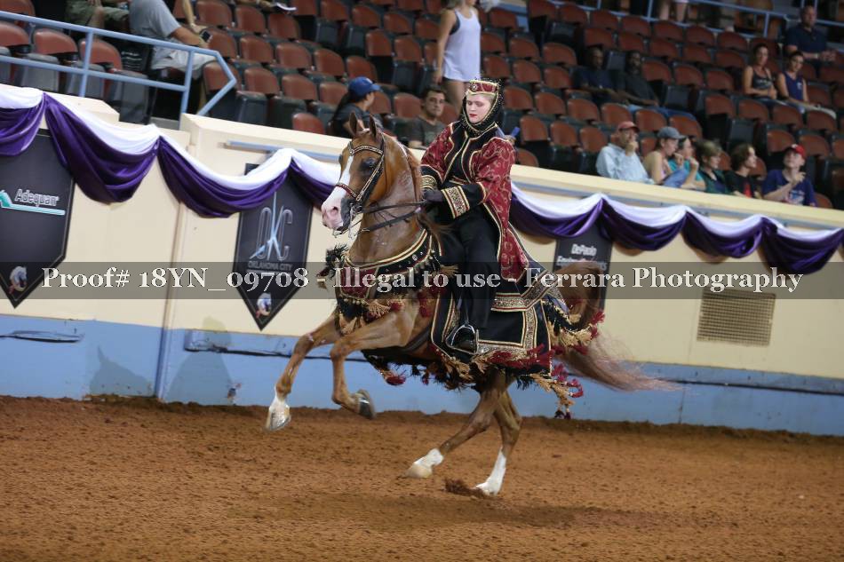 Proof 18YN_09708
