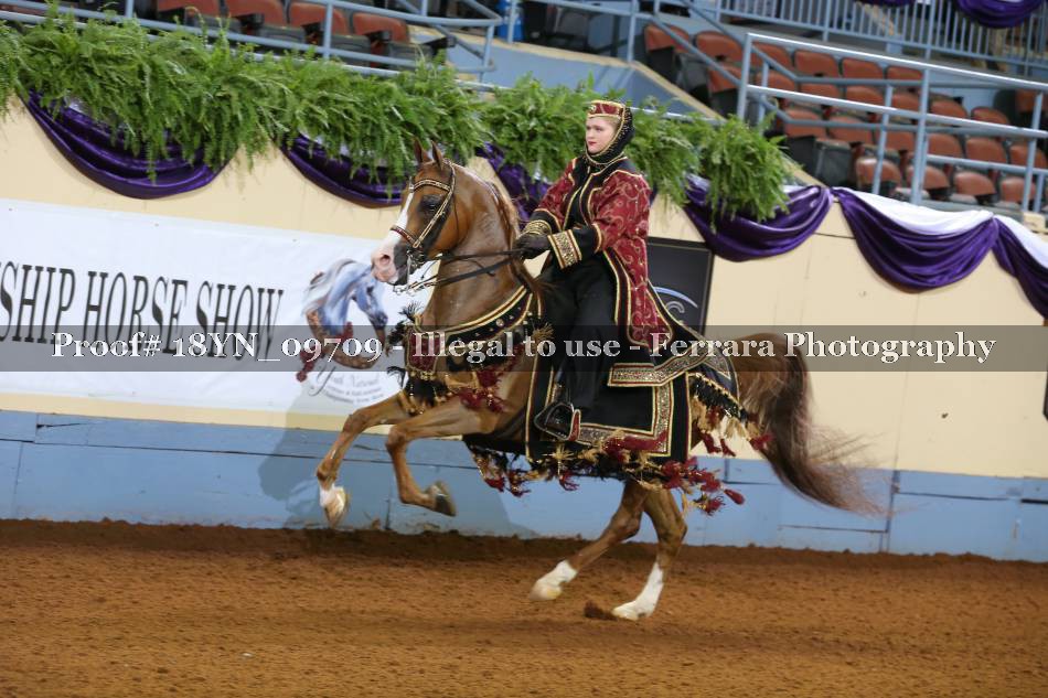 Proof 18YN_09709