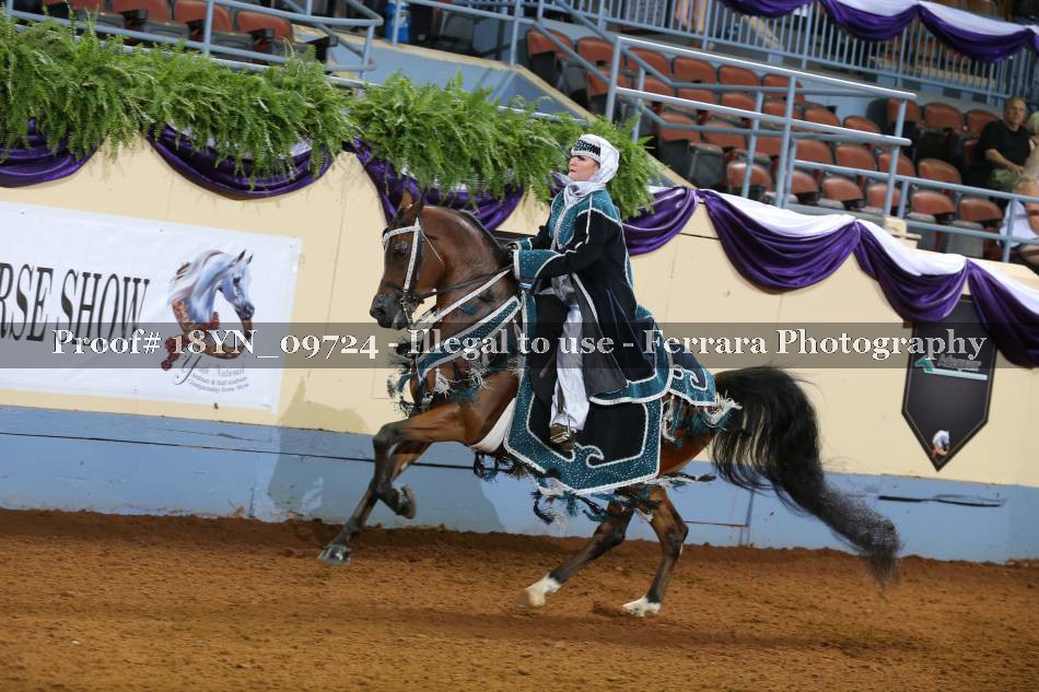 Proof 18YN_09724