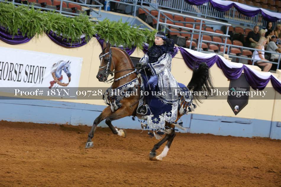 Proof 18YN_09728