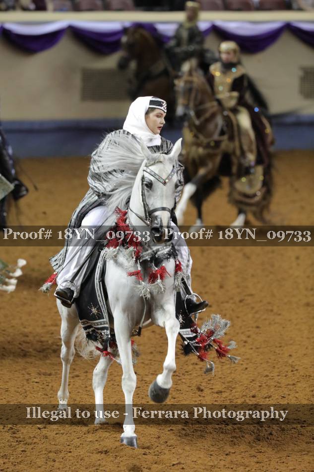 Proof 18YN_09733