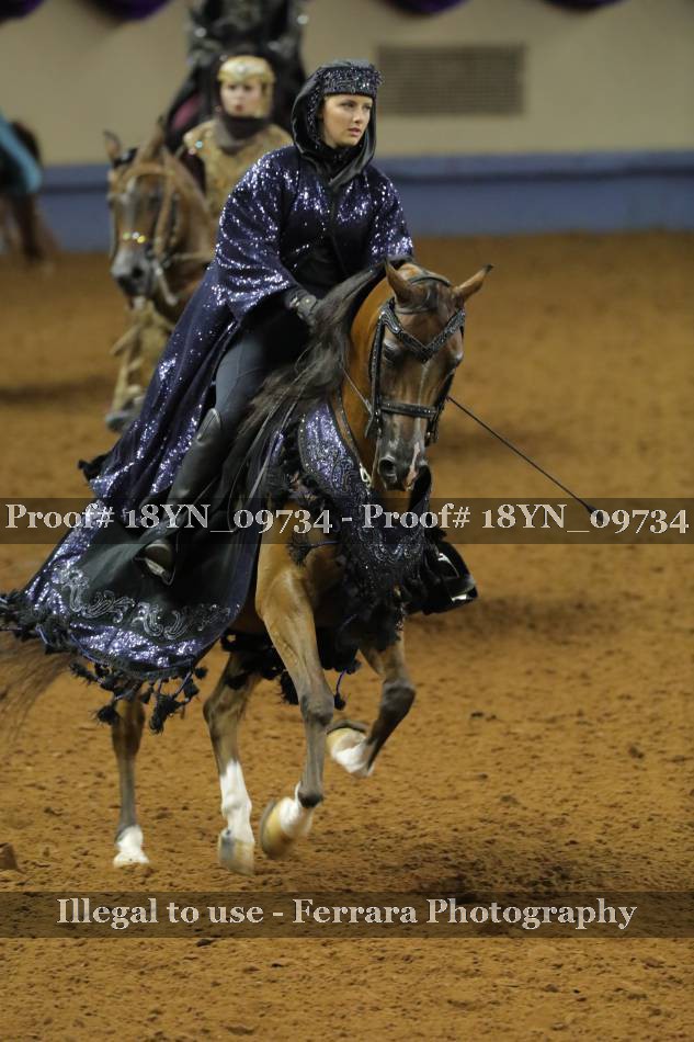 Proof 18YN_09734