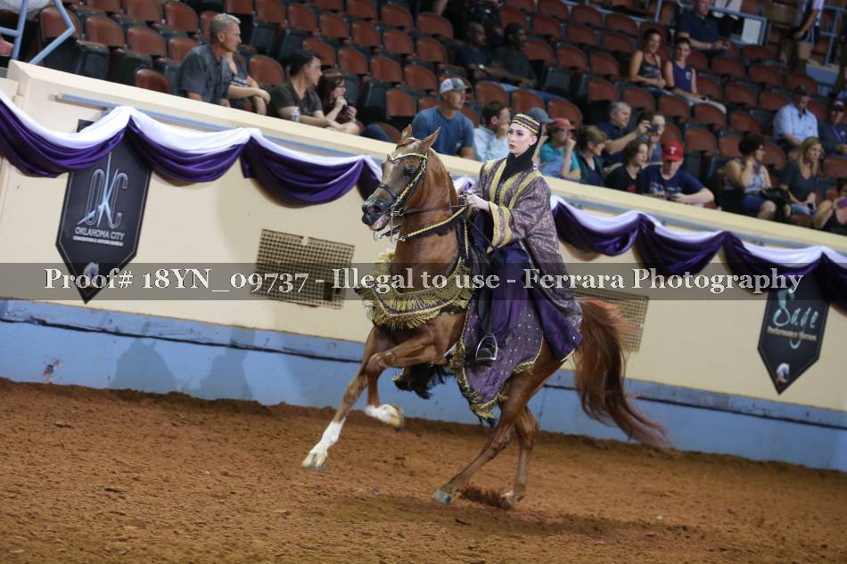 Proof 18YN_09737