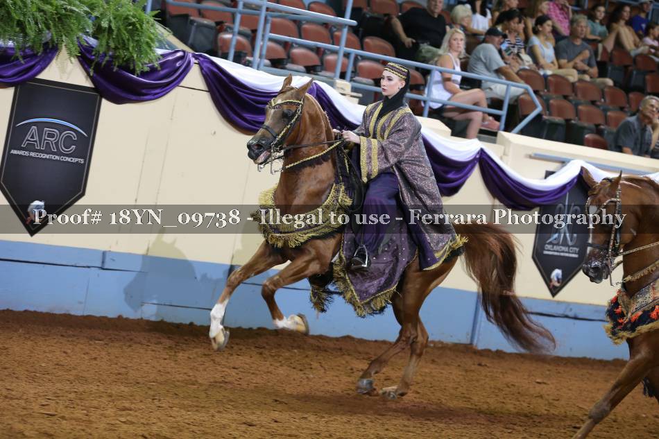 Proof 18YN_09738